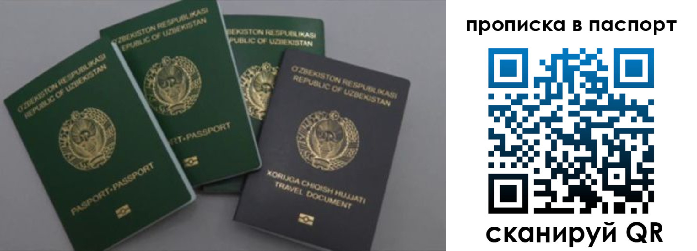 временная прописка в Бердске